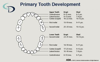 Tips for helping your child have a healthy smile for life